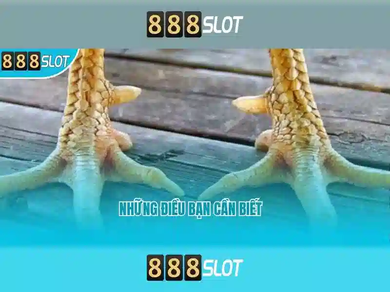 888SLOT Slot Game 3D