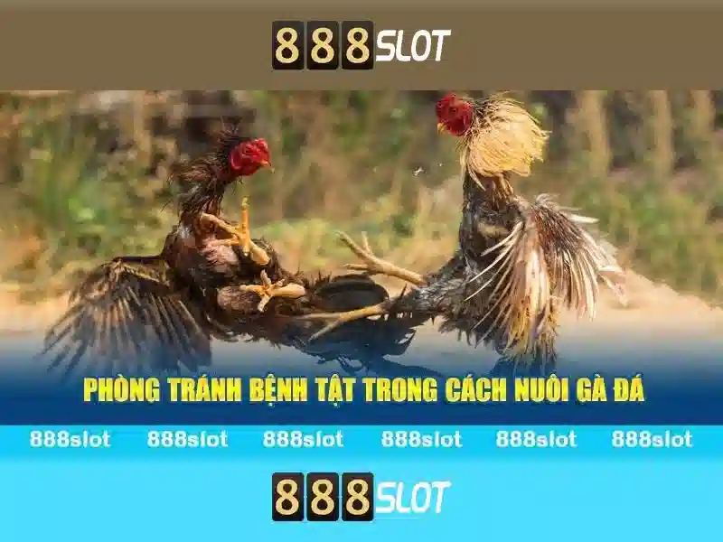 888SLOT khuyến mãi hấp dẫn