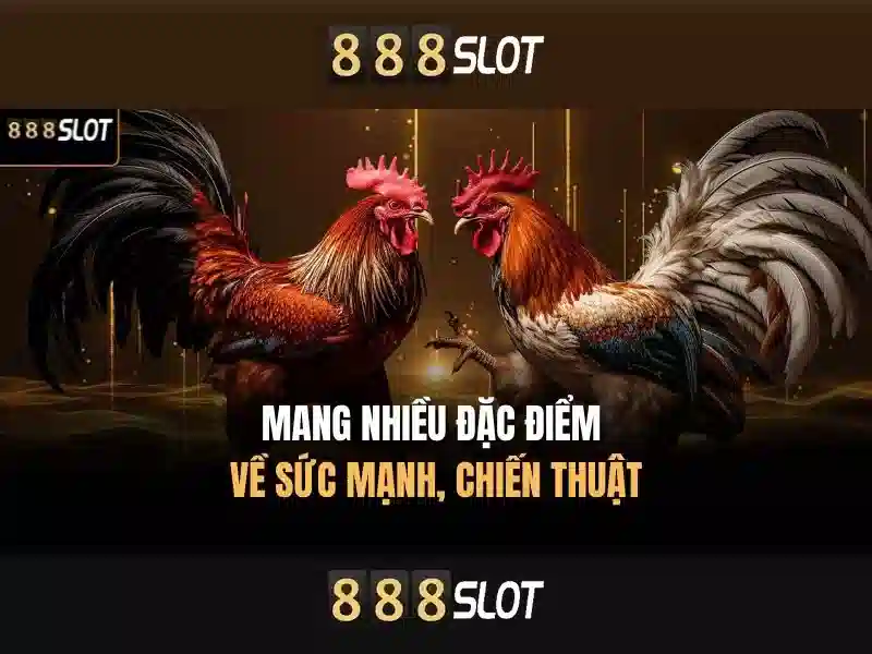 Đăng Nhập 888SLOT – Trải Nghiệm Slot Đỉnh Cao 2026