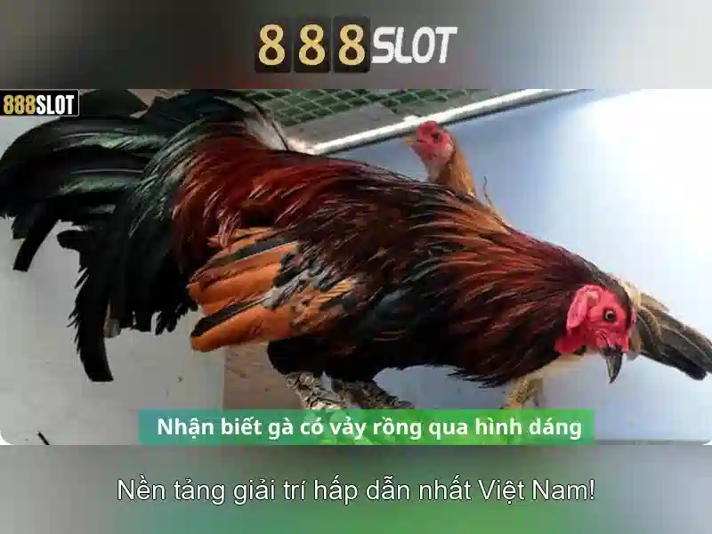 Giao diện 888slot login apk