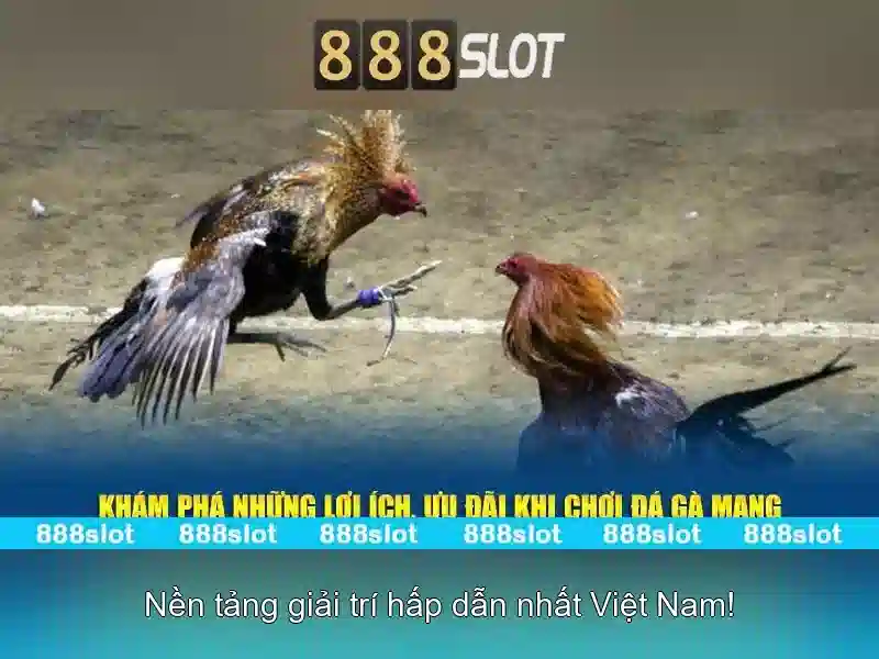 Trải Nghiệm Slot 888SLOT