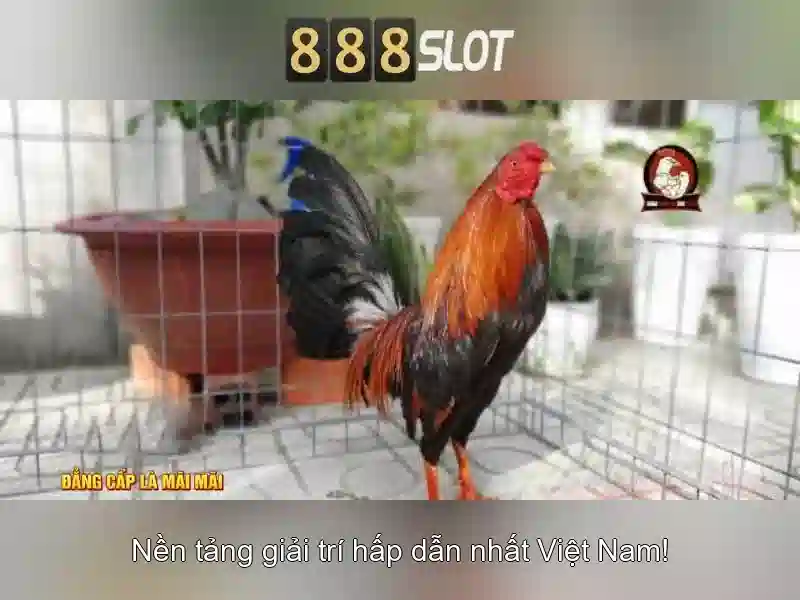 Trải nghiệm slot đỉnh cao