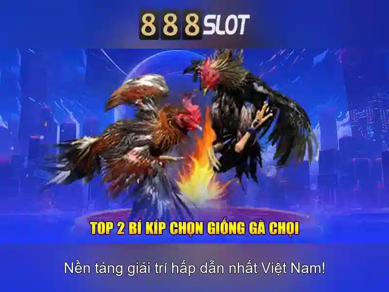 Trải Nghiệm Slot Đỉnh Cao Với Game 888 Slot
